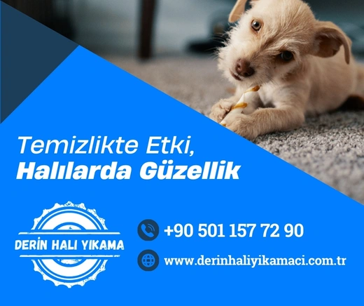 Derin Halı Yıkama İletişim